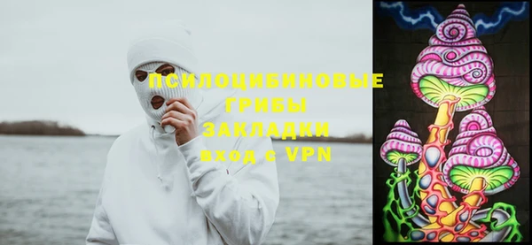 гидра Аркадак