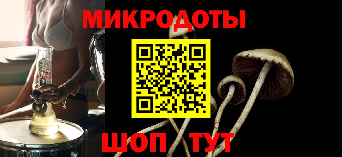 Псилоцибиновые грибы ЛСД Балашов